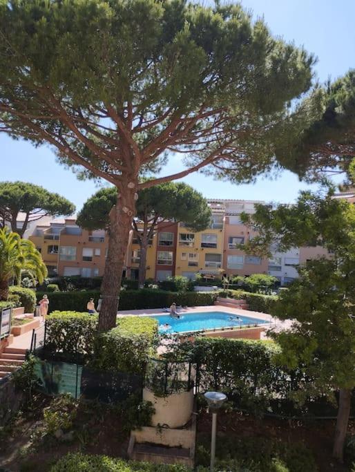 Studio 4 Couchages Avec Piscine D'Ete Vue Port Agde Eksteriør bilde